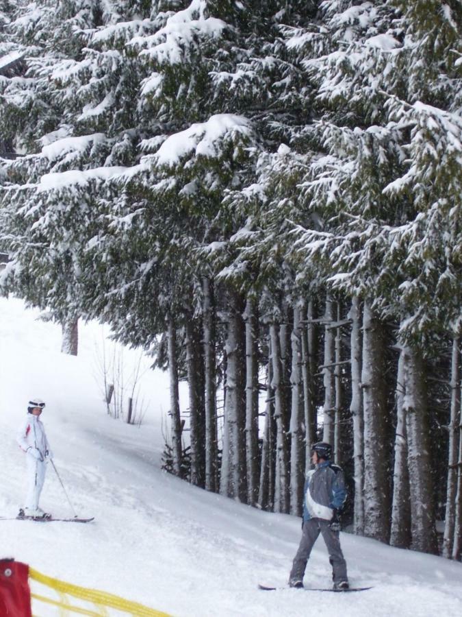 Appartement Schneerose Tauplitz Kültér fotó